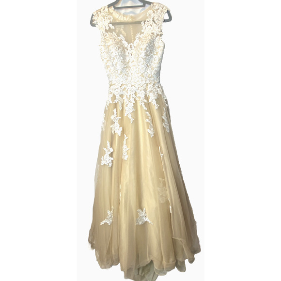 Long Formal Sleeveless Dress Tulle Lace HiLo Hem Holiday Wedding Ballgown Stage - Picture 1 of 9